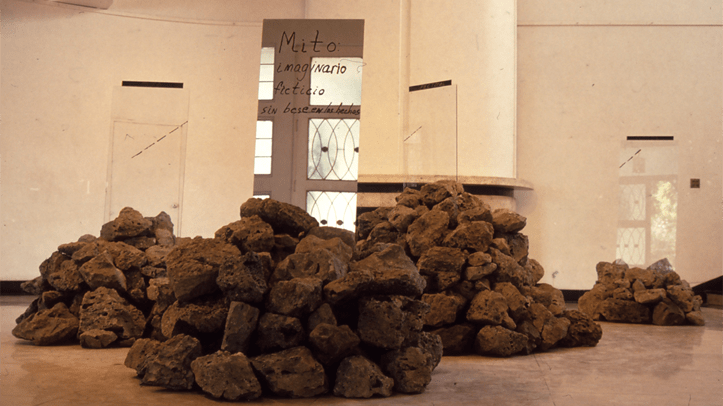 Maria Thereza Alves, «Chico Mendes, Los Anti-Heroes y La Ley de Gravedad», Courtesy Galerie Michel Rein