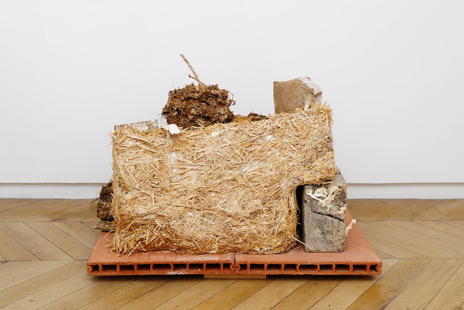 Natsuko Uchino, mushroom house, 2020, mycelium paille bois brique. Photo Aurélien Mole. Courtesy Galerie Allen Paris. 