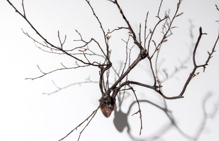 Javier Pérez, Brotes 1, 2017
Bronze, 110 x 130 x 70 cm
Courtesy de l'artiste et de la galerie Papillon, Paris. 