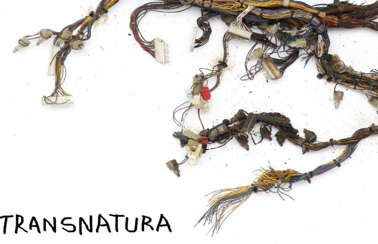 Visuel_Transnatura_130619 Krištof Kintera, Postnaturalia drawing (détail), 2018, technique mixte sur papier, 50x70 cm. Courtesy de l'artiste et de la galerie 22,48m2