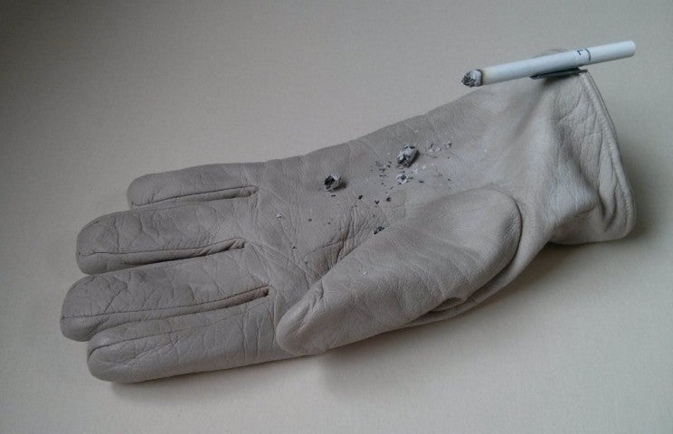 Leather Palm, 2015
Liz Magor