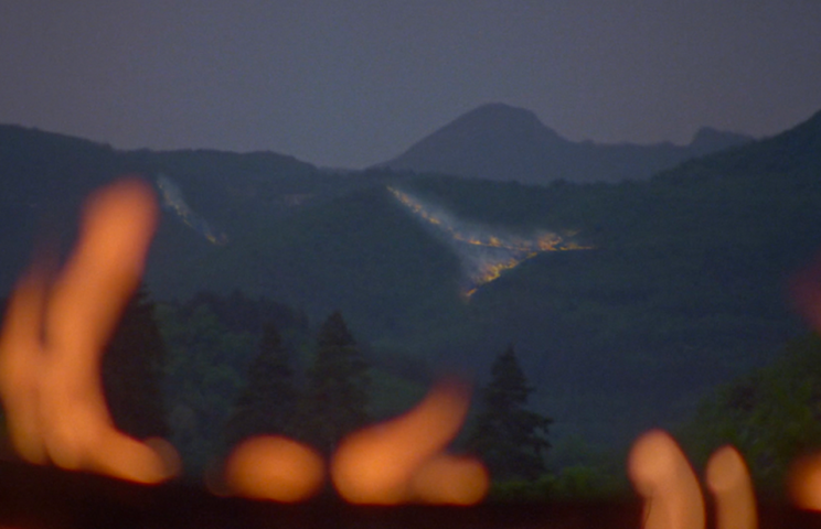 © Elsa Brés, Les Sanglières (She boars), 2025, video (screenshot), 68 min. Courtesy of the artiste. 