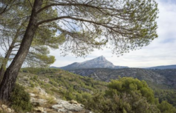 Sainte-Victoire #401
Tirage numérique. Exemplaire 1/6, 201760 x 80 cm. 

Courtesy de la galerie Lelong and Co, Paris.
