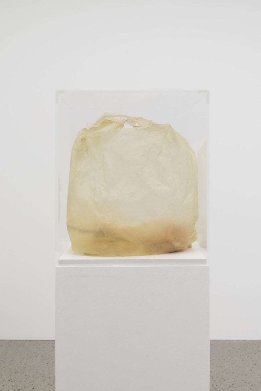 Beatrice Bonino, The Carrier Bag, 2025. Sac en plastique, ruban, rose provenant du site archéologique de Palaipaphos, filet. 20 x 29 x 33 cm. Courtesy de l’artiste et de Ermes Ermes, Rome. Photo : Simon Rao.
