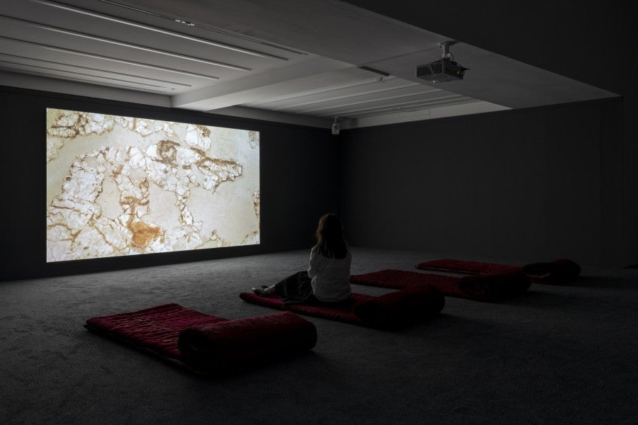 Vue de l’exposition « Sorry Sun » à la Fondation Pernod Ricard, Paris, 2025. Photo : Nicolas Brasseur. 
