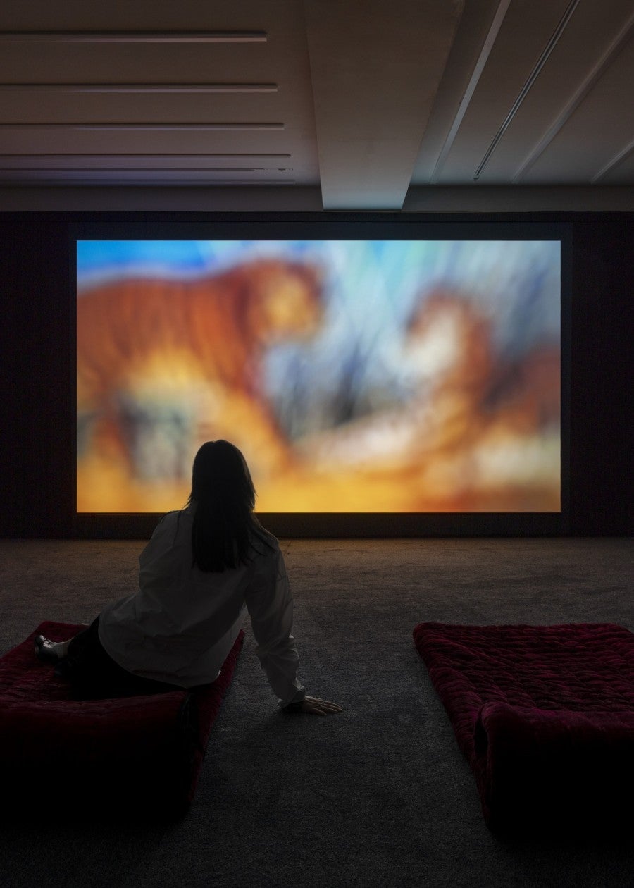 Vue de l’exposition « Sorry Sun » à la Fondation Pernod Ricard, Paris, 2025. Photo : Nicolas Brasseur. 