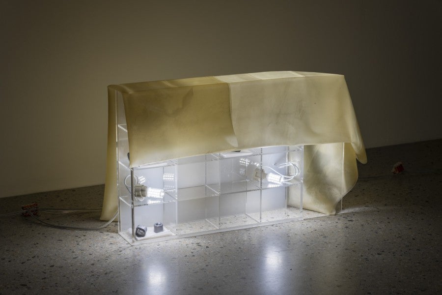 Hélène Yamba-Guimbi, Foreign (detail), 2025. Câbles électriques, fixations, colle, latex, ampoules, deux boîtes de rangement Muji, papier, photographies, bornes Wago, 34 × 25 × 9 cm et 51 × 17 × 9 cm. Courtesy de l’artiste. Photo : Nicolas Brasseur. 