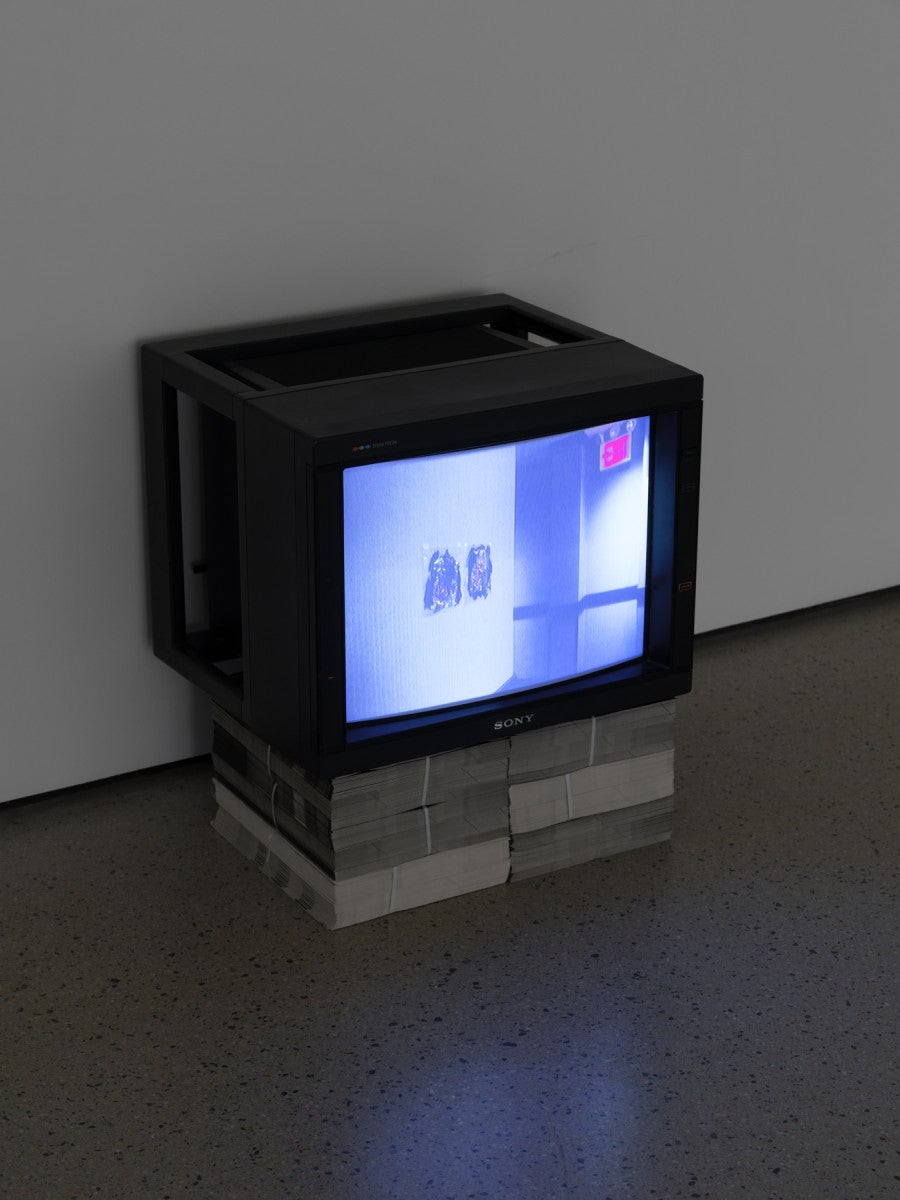 Rosa Joly, Night Hotel, 2024, Vidéo, 16mm numérisé, 6’. Courtesy de l’artiste. © Aurélien Mole.