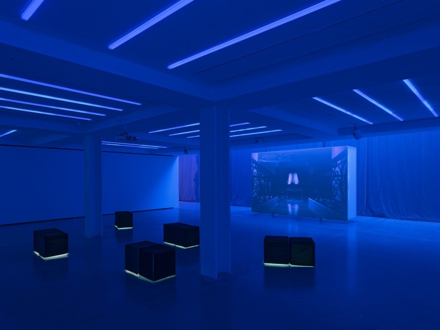 A Bug’s Life, 2026 Color video, 2K, 4.1 sound Duration: 20 min 30 s. © Aurélien Mole
