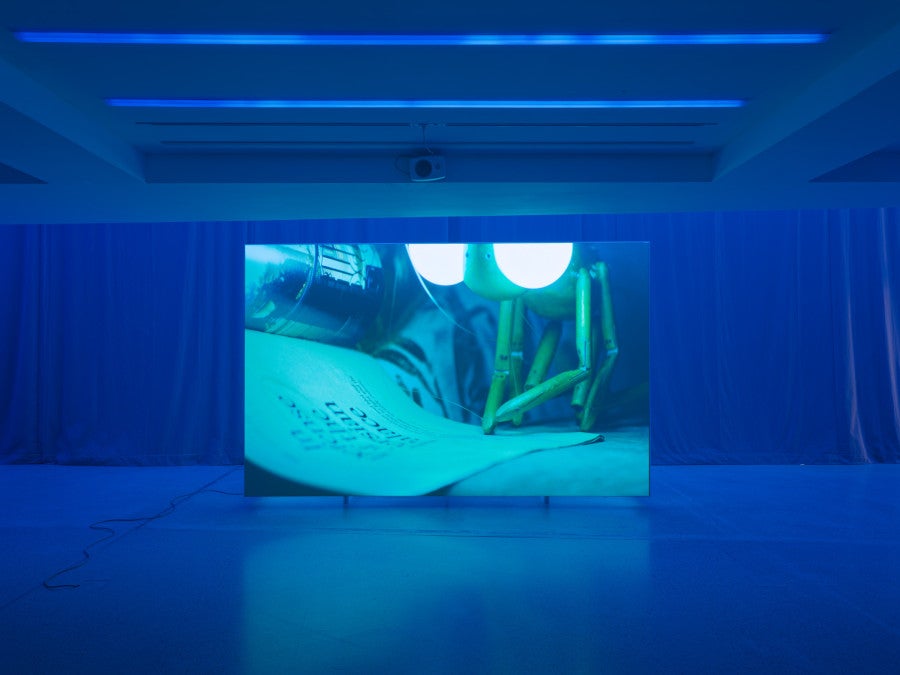 A Bug’s Life, 2026 Color video, 2K, 4.1 sound Duration: 20 min 30 s. © Aurélien Mole