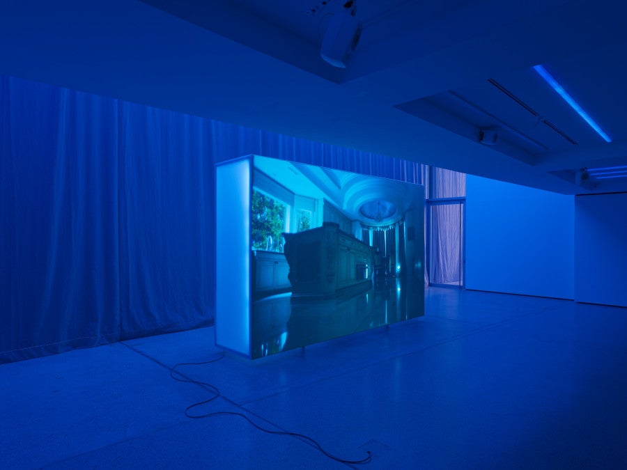 A Bug’s Life, 2026 Color video, 2K, 4.1 sound Duration: 20 min 30 s. © Aurélien Mole