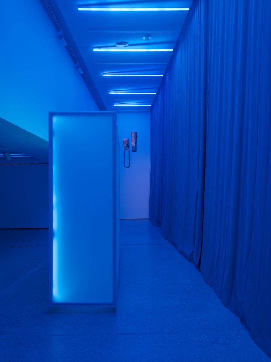A Bug’s Life, 2026 Color video, 2K, 4.1 sound Duration: 20 min 30 s. / Untitled (Dyson), 2026 75 cm x 22 cm ; 100 cm x 22 cm Polycarbonate shell, spray paint, resin prints.© Aurélien Mole