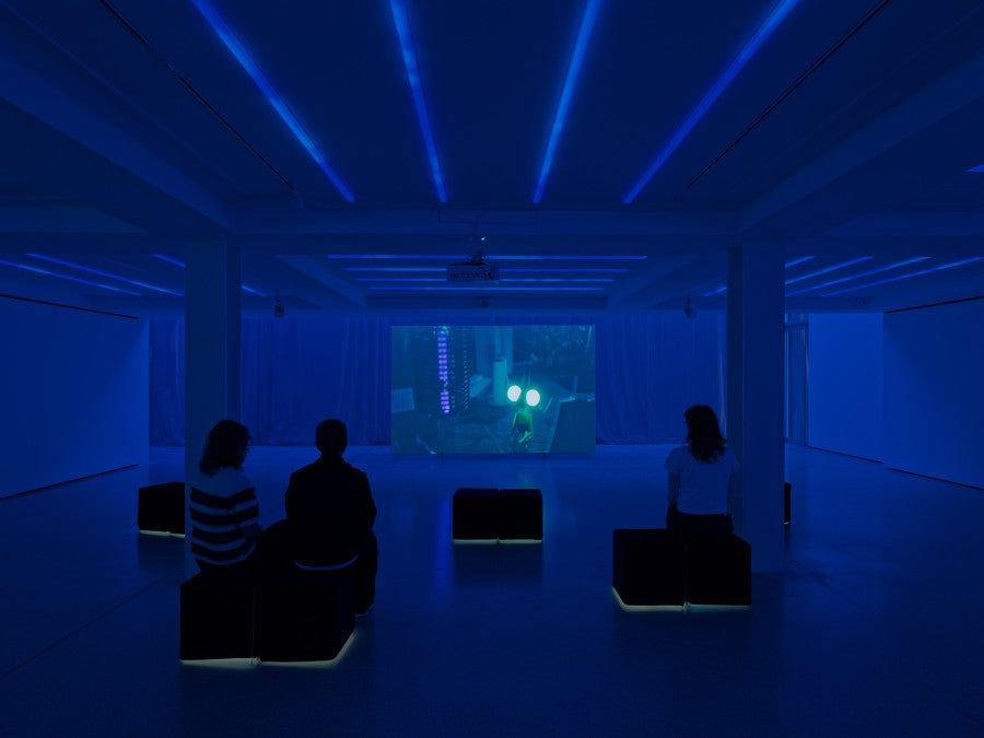 A Bug’s Life, 2026 Color video, 2K, 4.1 sound Duration: 20 min 30 s . © Aurélien Mole