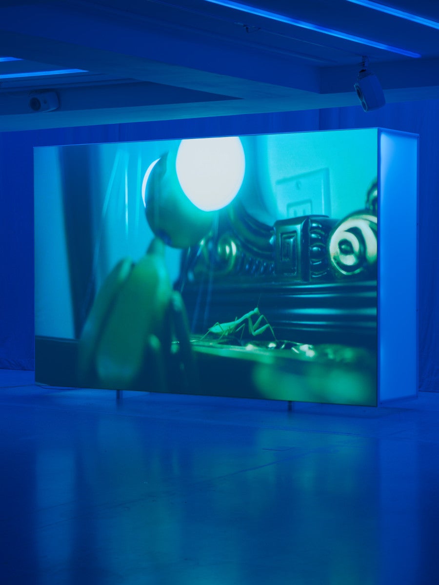 A Bug’s Life, 2026 Color video, 2K, 4.1 sound Duration: 20 min 30 s.  © Aurélien Mole