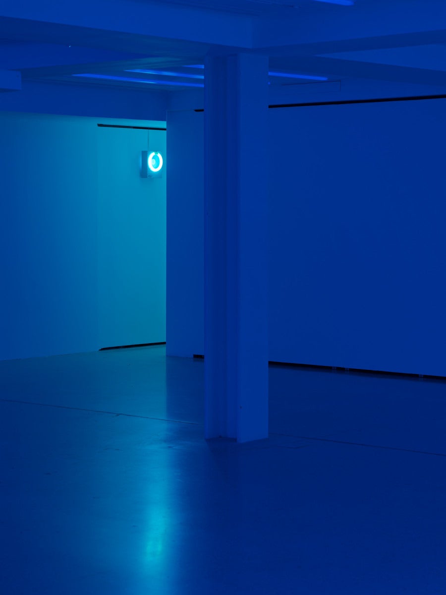 Untitled (Trappen), 2026 22 × 30 × 15 cm Insect trap. © Aurélien Mole