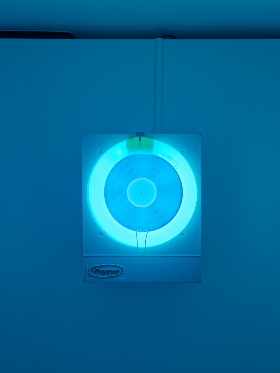Untitled (Trappen), 2026 22 × 30 × 15 cm Insect trap. © Aurélien Mole