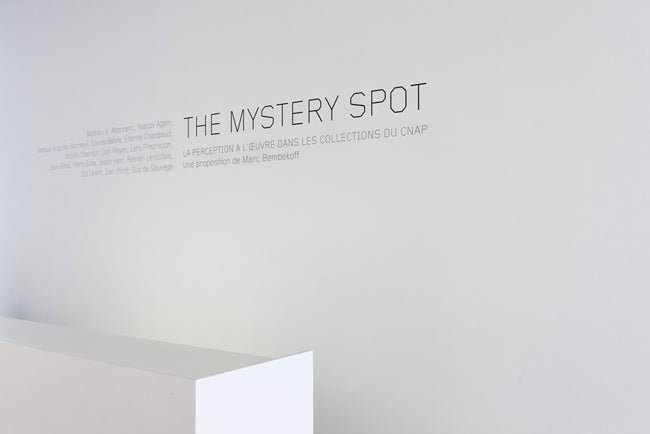 fr_the_mystery_spot_40.jpg