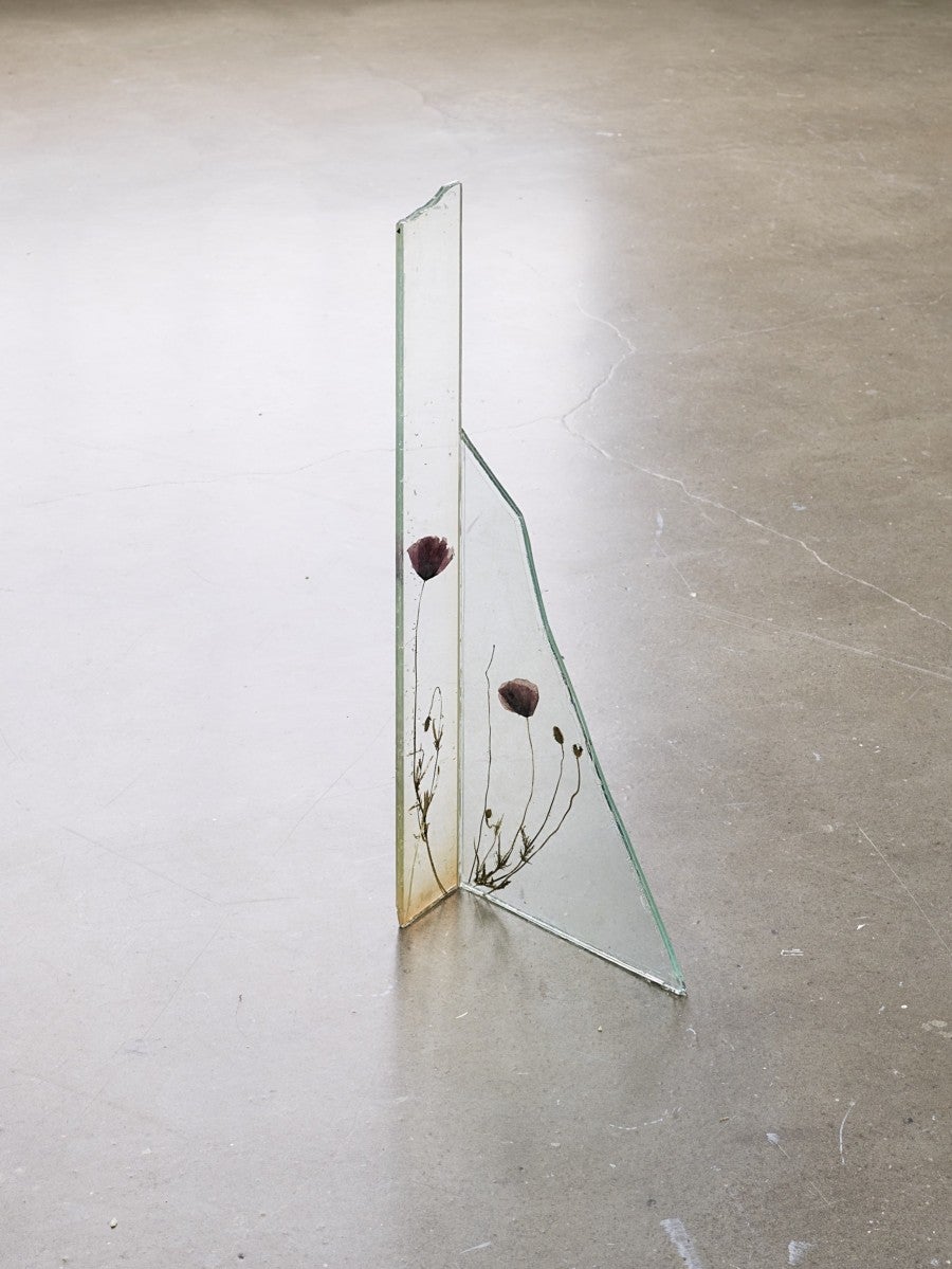 View of Wilfrid Almendra's solo exhibition "Where the Sun Pauses" at Kunsthalle Lingen, 2025. Co-produced by Fondation Pernod Ricard. Photo: Roman Mensing, artdoc.de