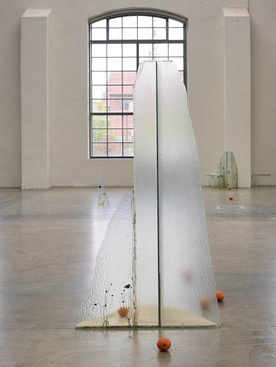 View of Wilfrid Almendra's solo exhibition "Where the Sun Pauses" at Kunsthalle Lingen, 2025. Co-produced by Fondation Pernod Ricard. Photo: Roman Mensing, artdoc.de