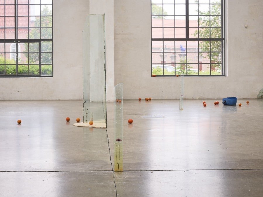 View of Wilfrid Almendra's solo exhibition "Where the Sun Pauses" at Kunsthalle Lingen, 2025. Co-produced by Fondation Pernod Ricard. Photo: Roman Mensing, artdoc.de