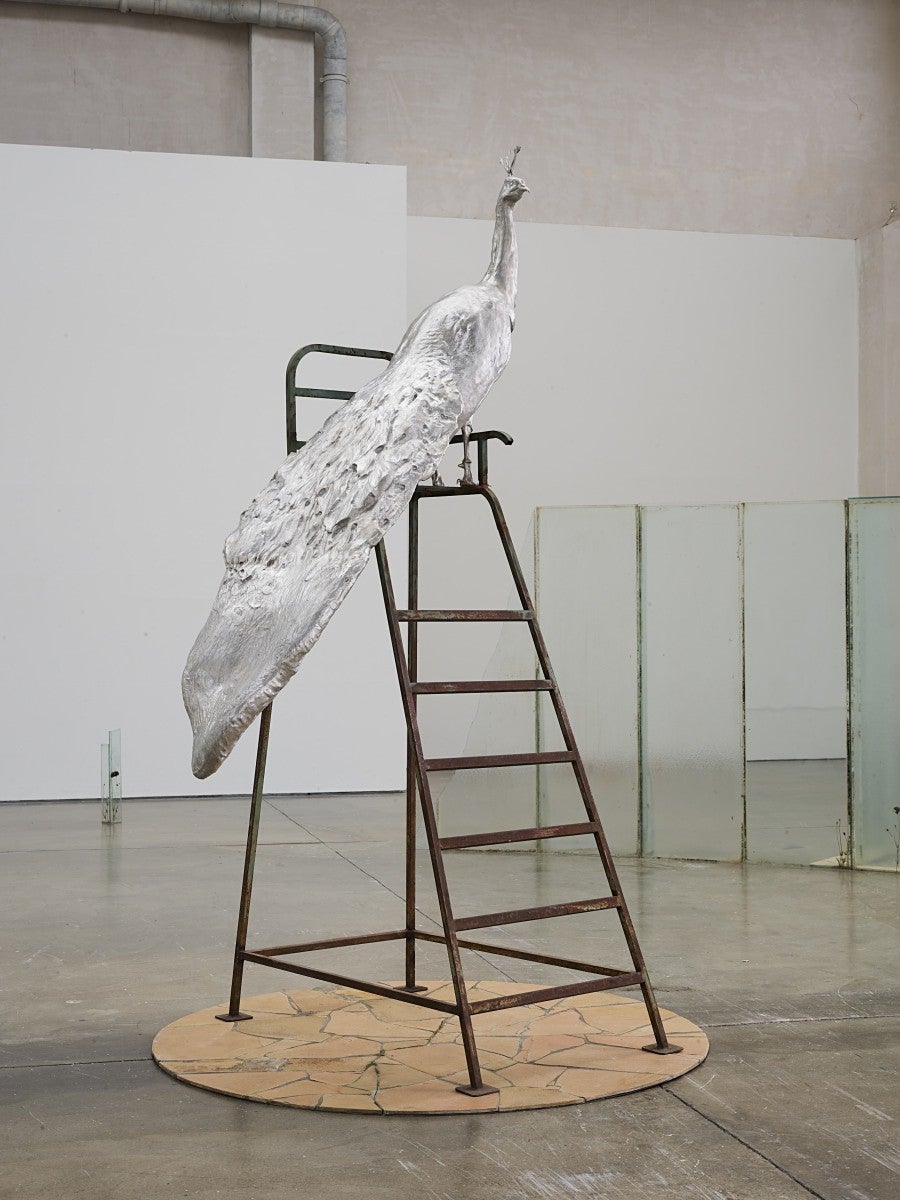 View of Wilfrid Almendra's solo exhibition "Where the Sun Pauses" at Kunsthalle Lingen, 2025. Co-produced by Fondation Pernod Ricard. Photo: Roman Mensing, artdoc.de