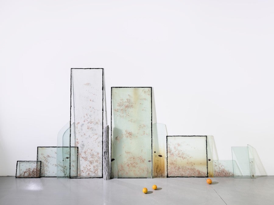 View of Wilfrid Almendra's solo exhibition "Where the Sun Pauses" at Kunsthalle Lingen, 2025. Co-produced by Fondation Pernod Ricard. Photo: Roman Mensing, artdoc.de