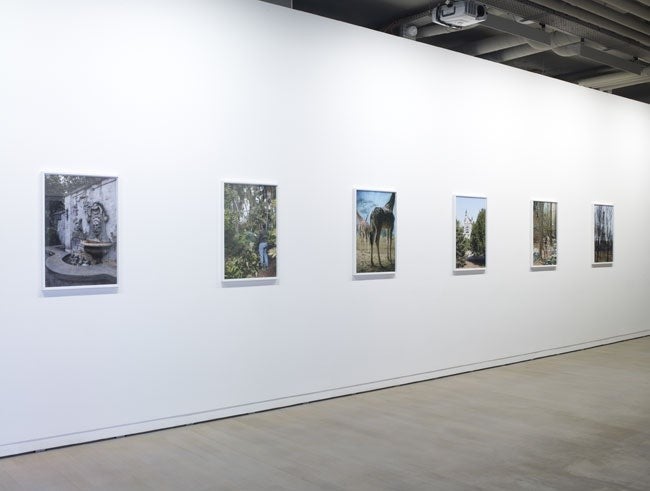 Vue de l'exposition, © Marc Domage / Fondation d'entreprise Ricard
