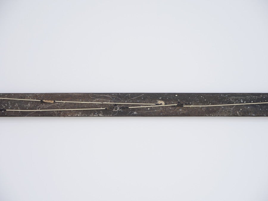 Clémence de La Tour du Pin, <i>Untitled</i> (détail), 2025 385 x 6 cm, peinture à l’huile, pigment, cire, baleine de parapluie, toile de lin.  Courtesy de l’artiste et de Derosia, New York. © ADAGP, Paris, 2026.  Vue de l’exposition « over the top, undercover » à la Fondation Pernod Ricard, Paris, 2026. © Photo : Raphaël Massart Courtesy de la Fondation Pernod Ricard.