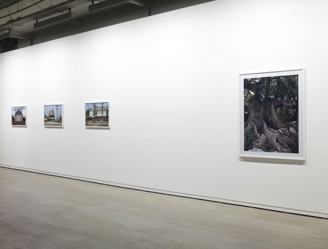 Vue de l'exposition, © Marc Domage / Fondation d'entreprise Ricard
