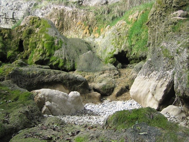 Alexia Turlin, "Cascade", 2007, photo contrecollée sur aluminium, 50 x 70cm, courtesy de l'artiste
