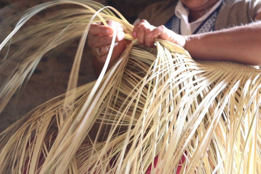 Fili Bautista weaving in a cellar in too-dry weather in Santa María Ixcatlán, 2017. Photo: Mariana Castillo Lopez