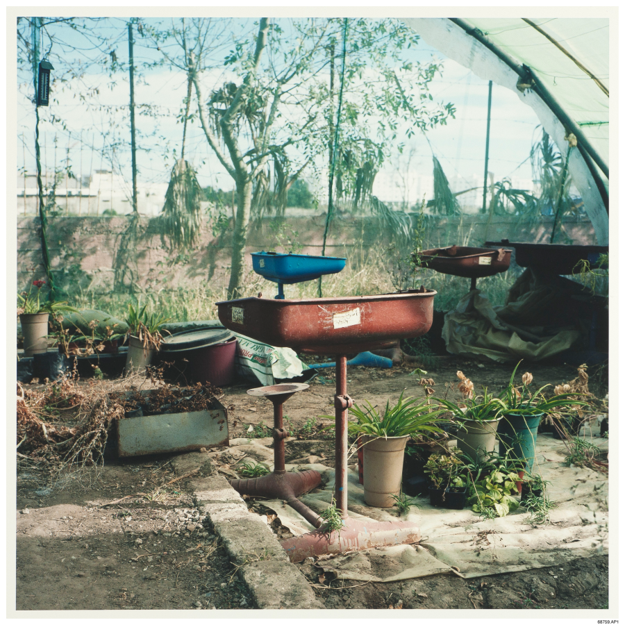 Yto Barrada, <i>Ferme Pédagogique – Tables d’écolier de la serre</i>, 2011. C-print, 150 × 150 cm. © Yto Barrada, courtesy Pace Gallery ; Sfeir-Semler Gallery, Hambourg, Beyrouth ; et Galerie Polaris, Paris.