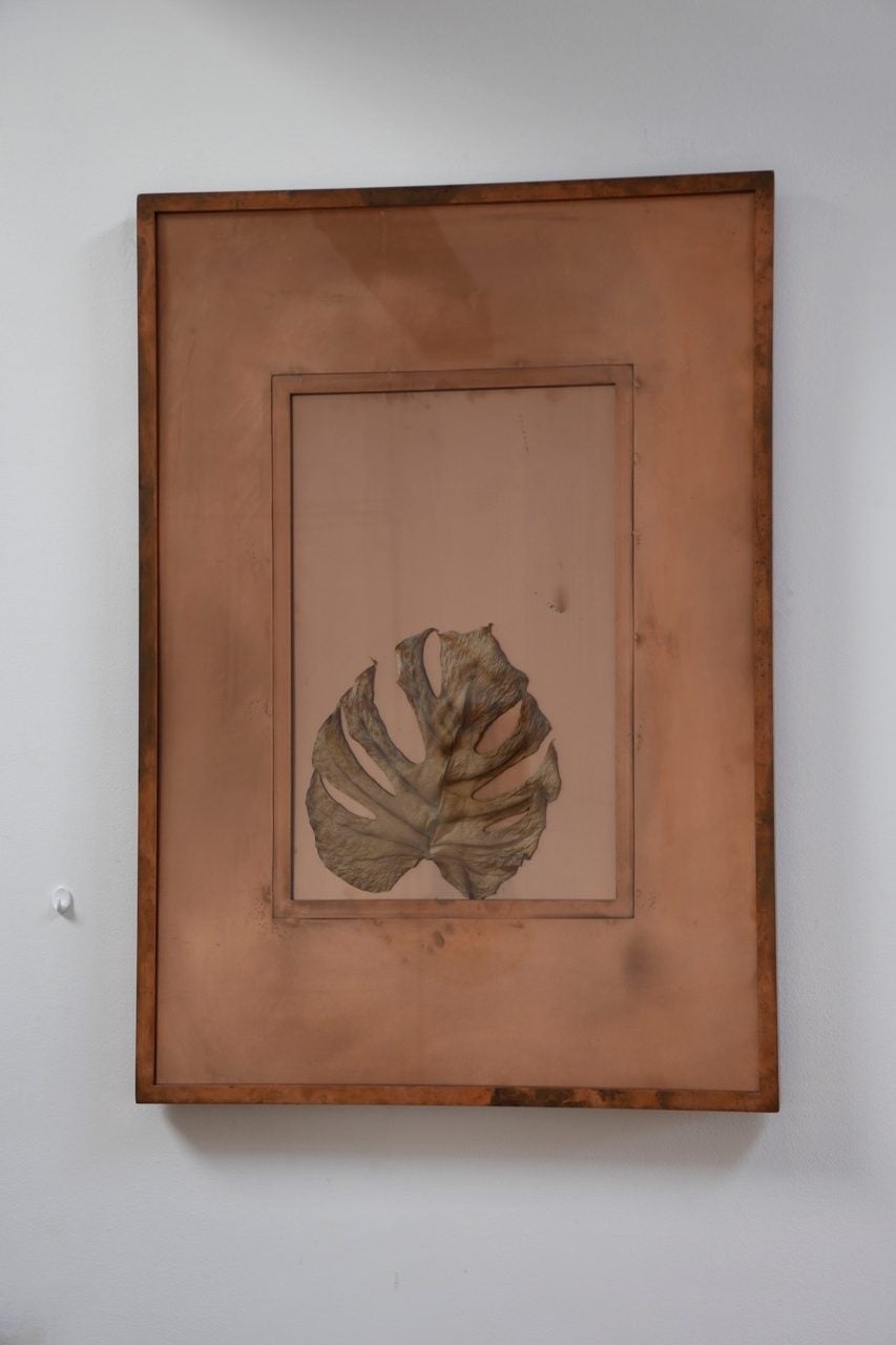 Chloé Quenum, Circuit I, 2014. Cadre en cuivre, feuille de philodendron, 100 x 70 cm.