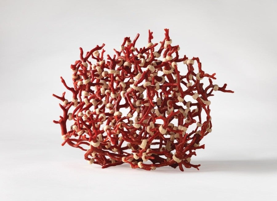 Hubert Duprat, Corail Costa Brava, 1994/ 1998, coral and bread, approximate diameter 25 cm. Photo: Rémi Chauvin.