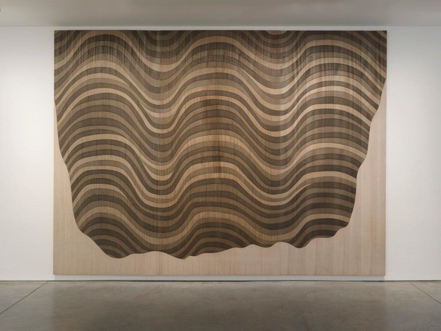 Hubert Duprat, Untitled, 2001, plywood, Indian ink on wood, 310 x 420 cm. Photo: Fabrice Gousset.