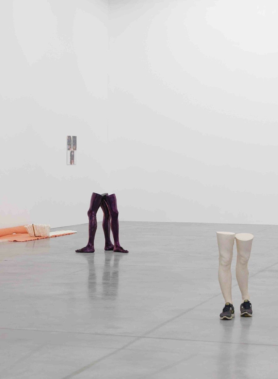 Vue de l'exposition A Cris Ouverts au Frac Bretagne, 6th Ateliers de Rennes - biennale of contemporary art, 2018. Photo: Aurélien Mole. Courtesy Marcelle Alix, Paris
