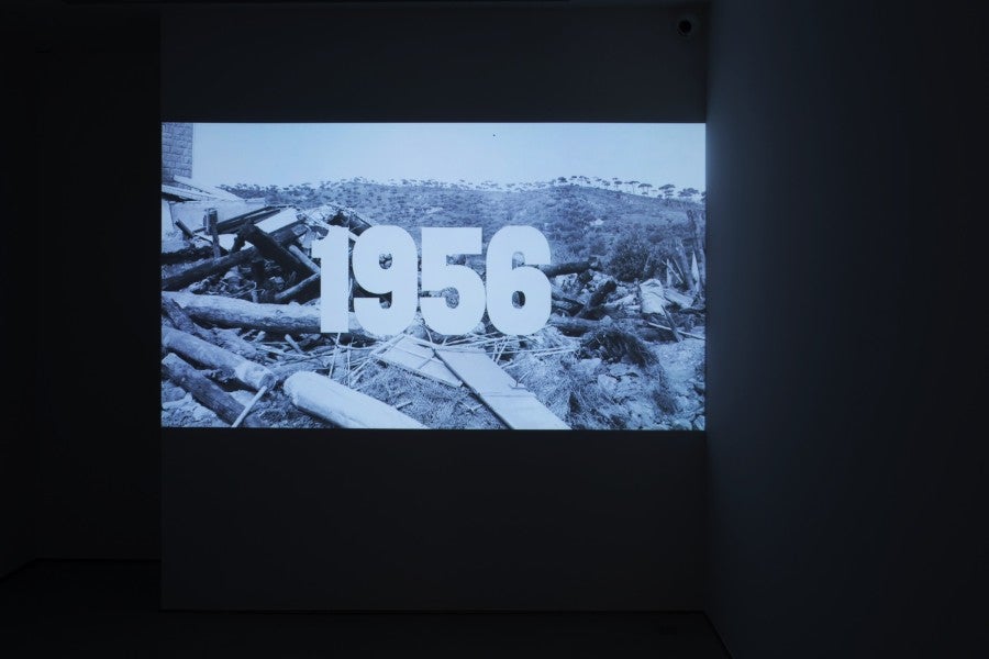 Ali Cherri, <i>The Disquiet</i>, 2013. Photogramme. HD, couleur, stéréo, 20’. Courtesy de l'artiste et de la Galerie Imane Farès, Paris.