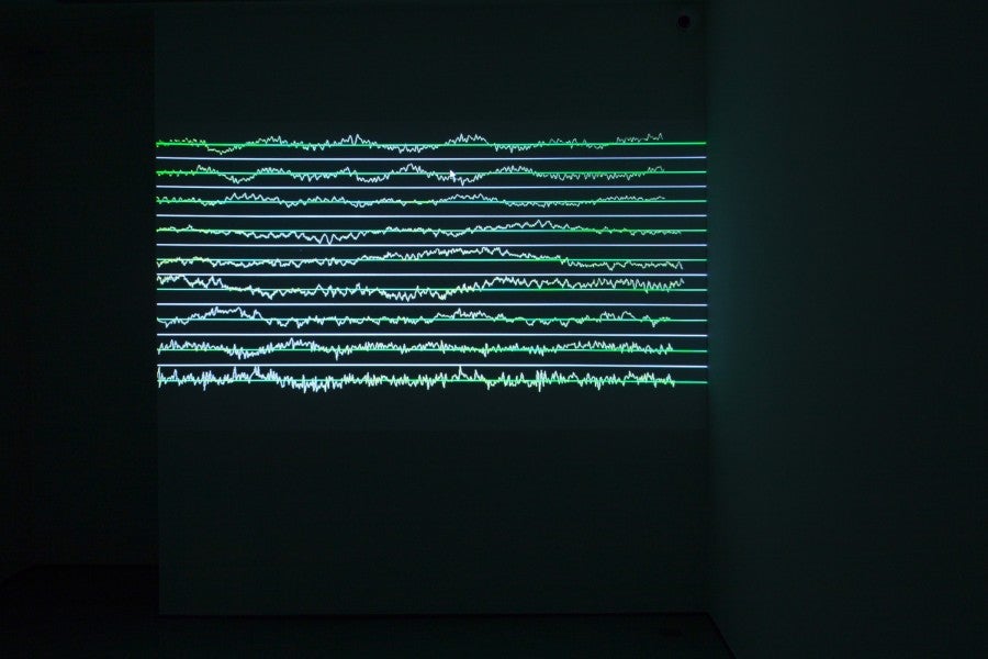 Ali Cherri, <i>The Disquiet</i>, 2013. Photogramme. HD, couleur, stéréo, 20’. Courtesy de l'artiste et de la Galerie Imane Farès, Paris.