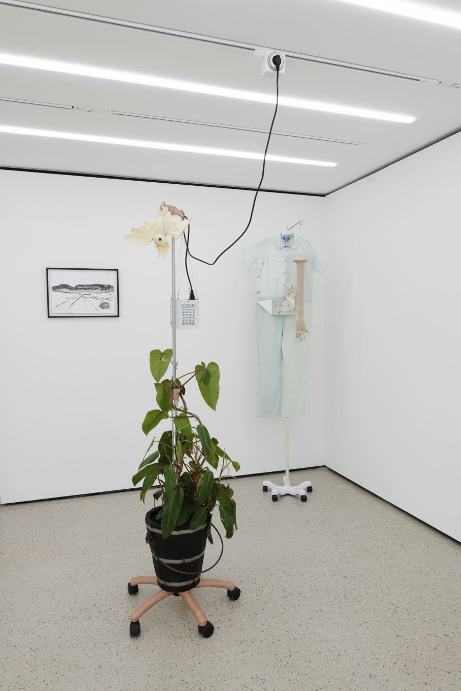 Benoît Piéron, <i>Monstera</i>, 2022. Serum holder, plaster, bucket, plant tar, Monstera, horticultural lamp, psychopump plush made from patchwork of hospital sheets. Photo: Aurélien Mole. Courtesy Benoît Piéron and Galerie Sultana