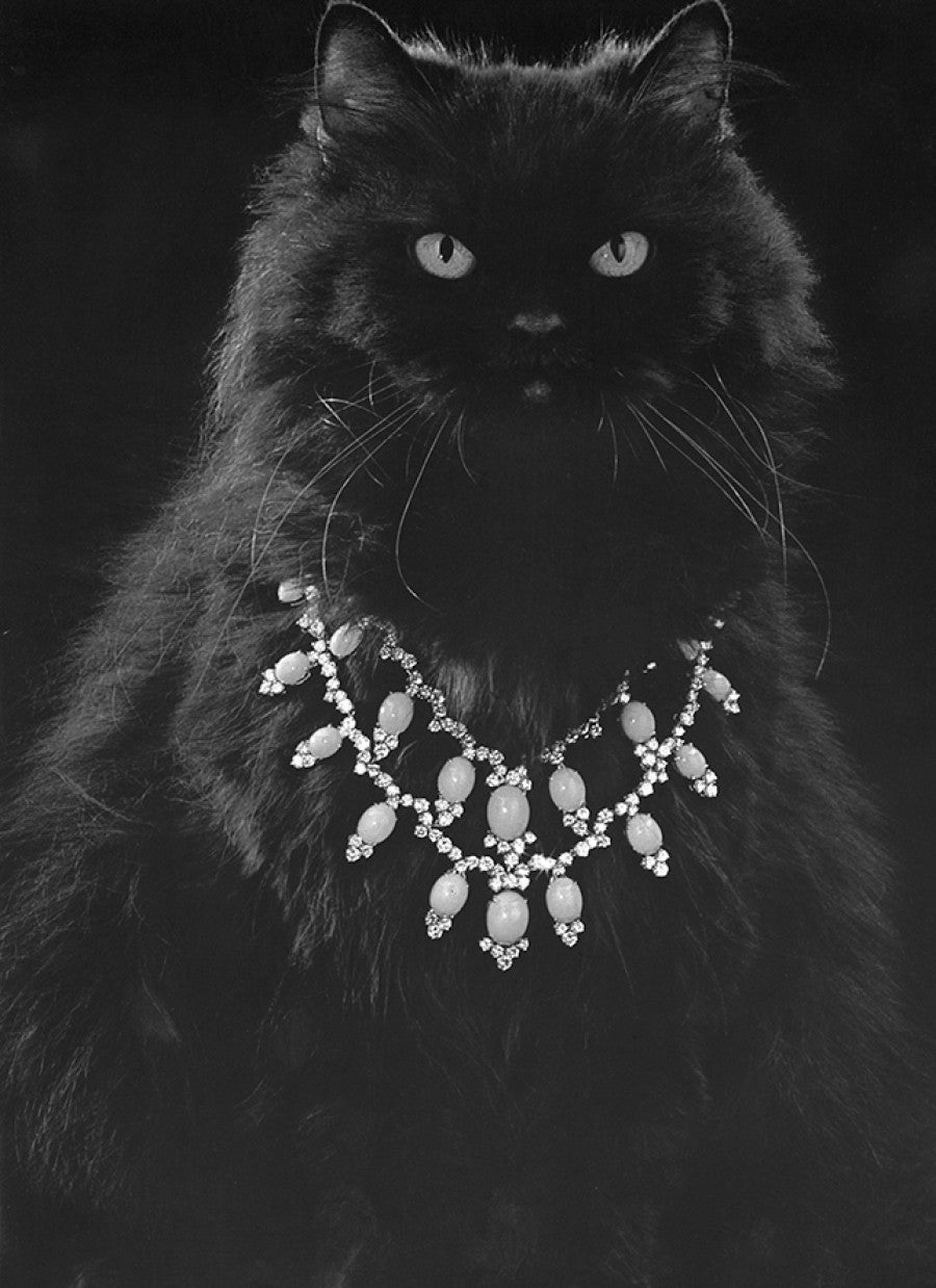 Laëtitia Badaut Haussmann, <i>Maisons Françaises, une collection, n°MJ197902P71, aka the cat lady</i>, 2025. Photographie. Courtesy de l’artiste et des galeries Allen Paris, Ellen de Bruijne Amsterdam et Emanuela Campoli Paris/Milan.