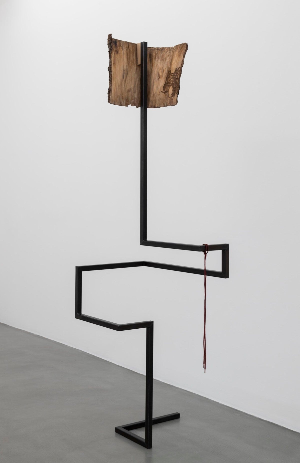 June Self, 2019, steel, bark, lace
François Doury