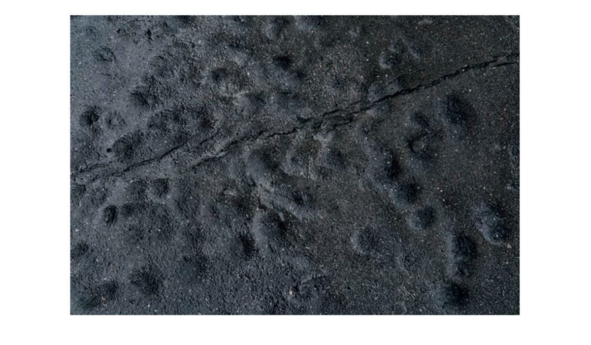 Visuel 2019 Courtesy de lartiste et de la galerie Jérôme Poggi.
